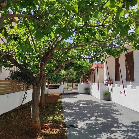 George'S Houses Riglia Номер фото