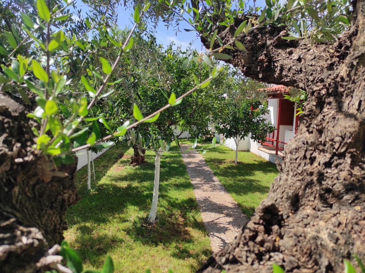 George'S Houses Riglia Екстер'єр фото