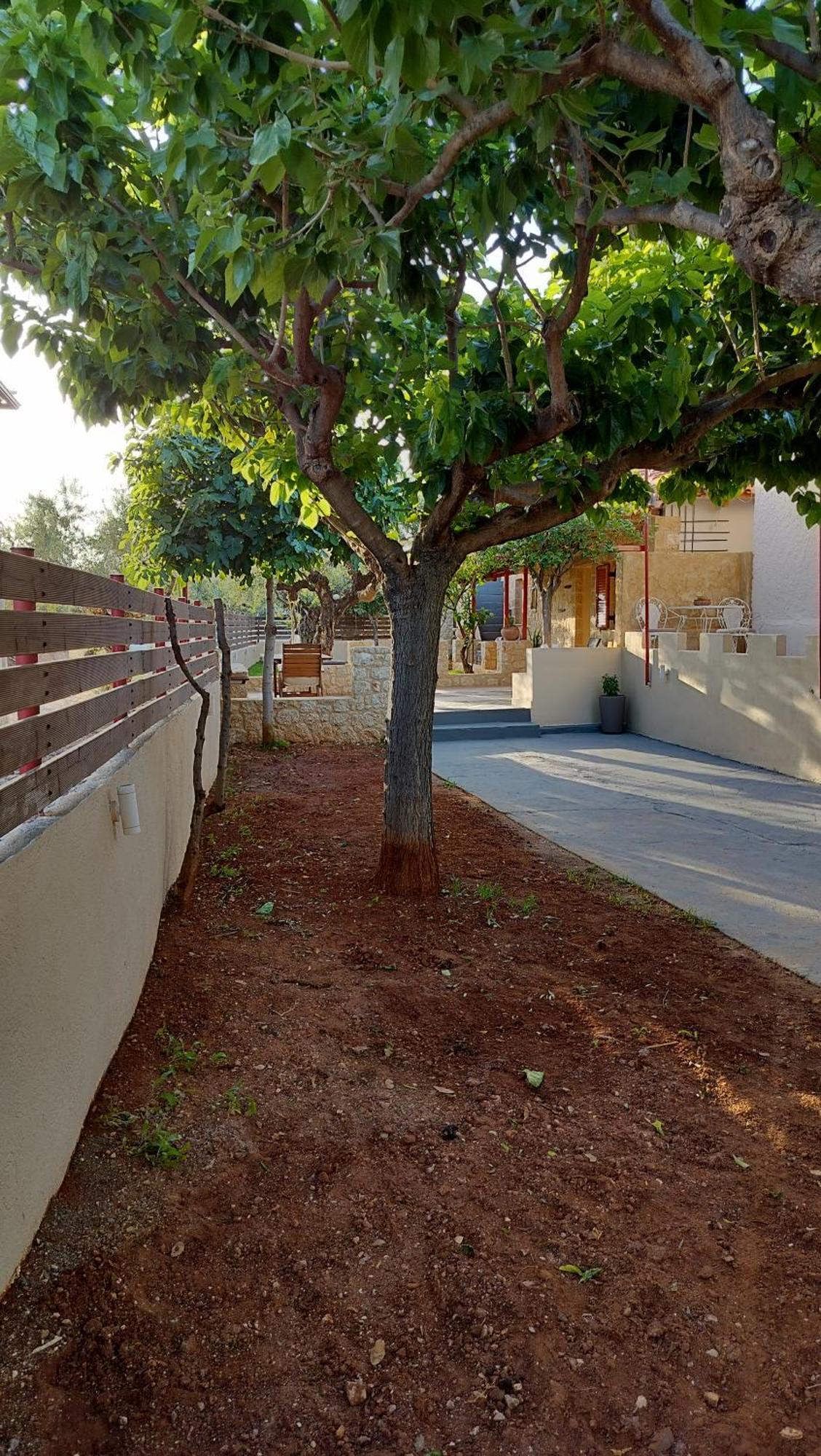 George'S Houses Riglia Екстер'єр фото