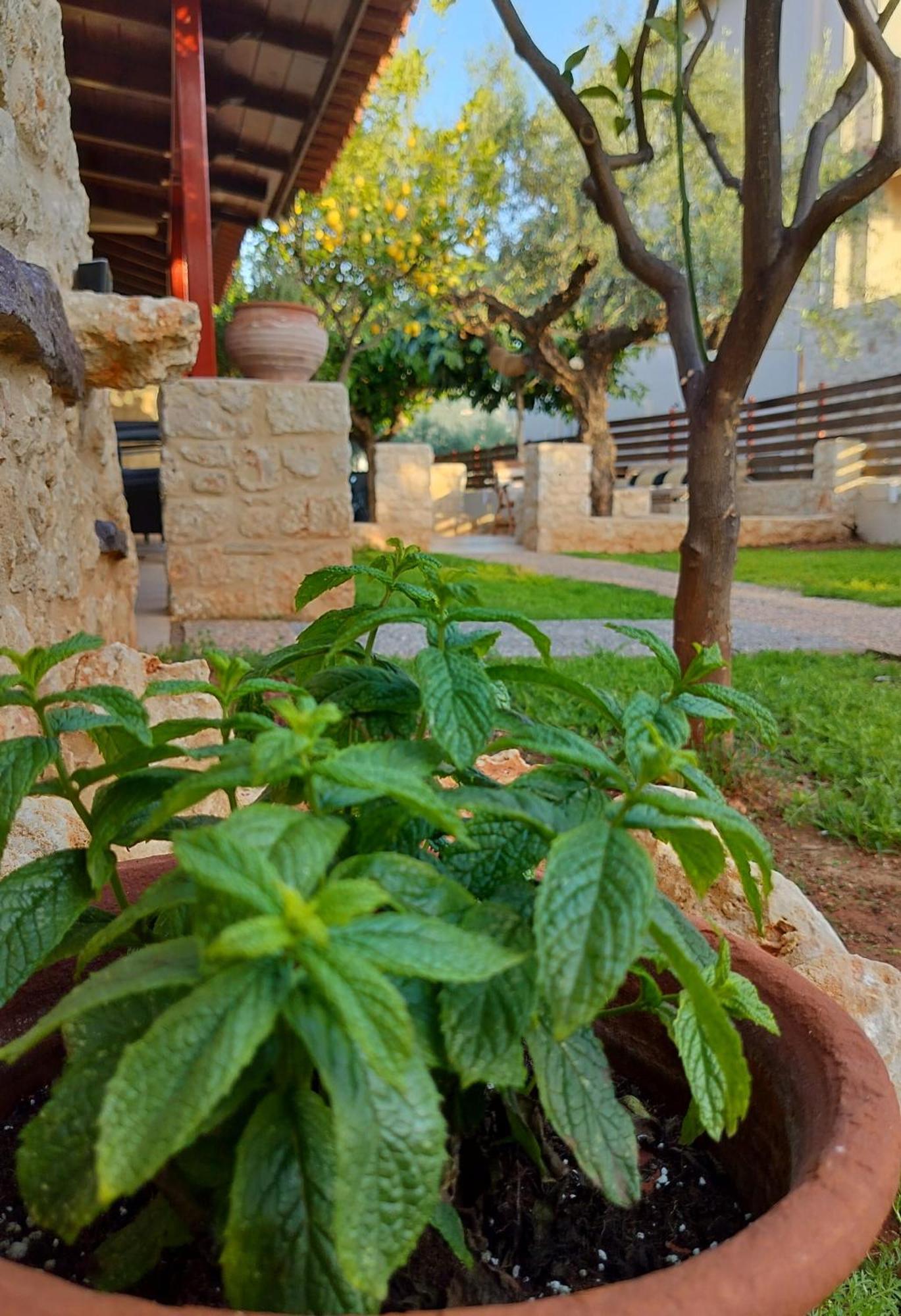 George'S Houses Riglia Екстер'єр фото